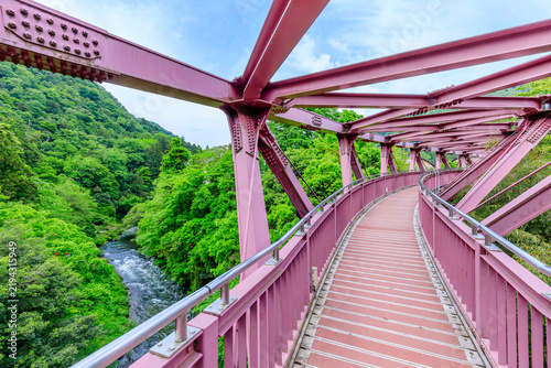 Naklejka 初夏のあやとり橋 石川県加賀市