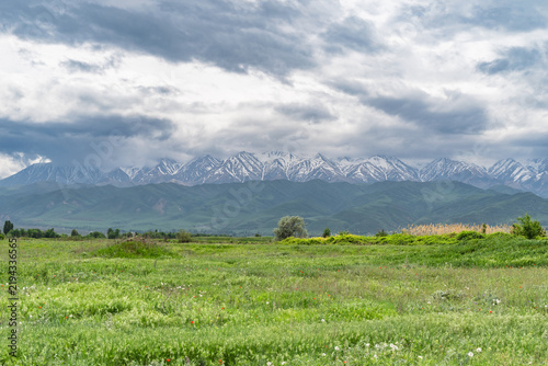  Snow-capped mountains and green valley under dramatic clouds in the Chuy Valley of Kyrgyzstan. Copy space.