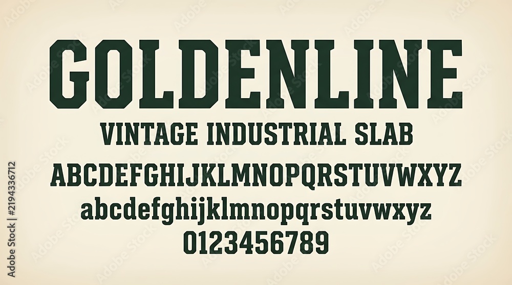 Fototapeta premium Vintage Industrial Slab Font Alphabet and Numbers Typography Design