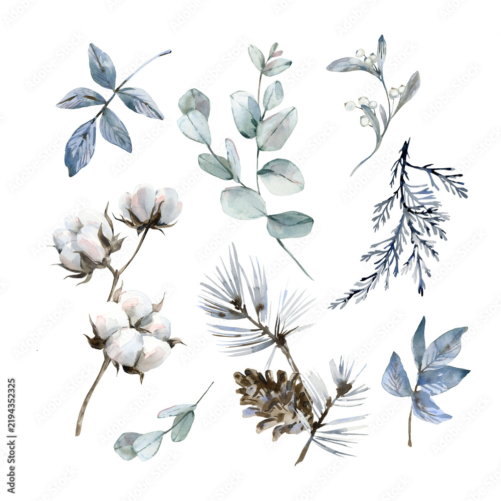 Obraz premium A winter floral watercolor set. Hand-drawn illustrations of cotton eucalyptus, pine, and juniper branches. Isolated on a white background. Elements for Christmas card, invitation and label designs.
