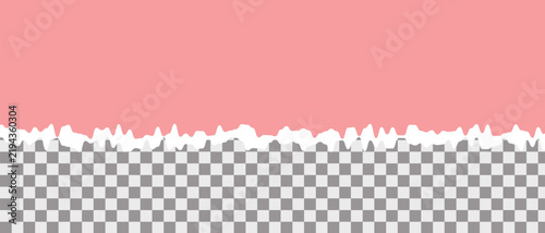 Torn paper with transparent background and salmon color