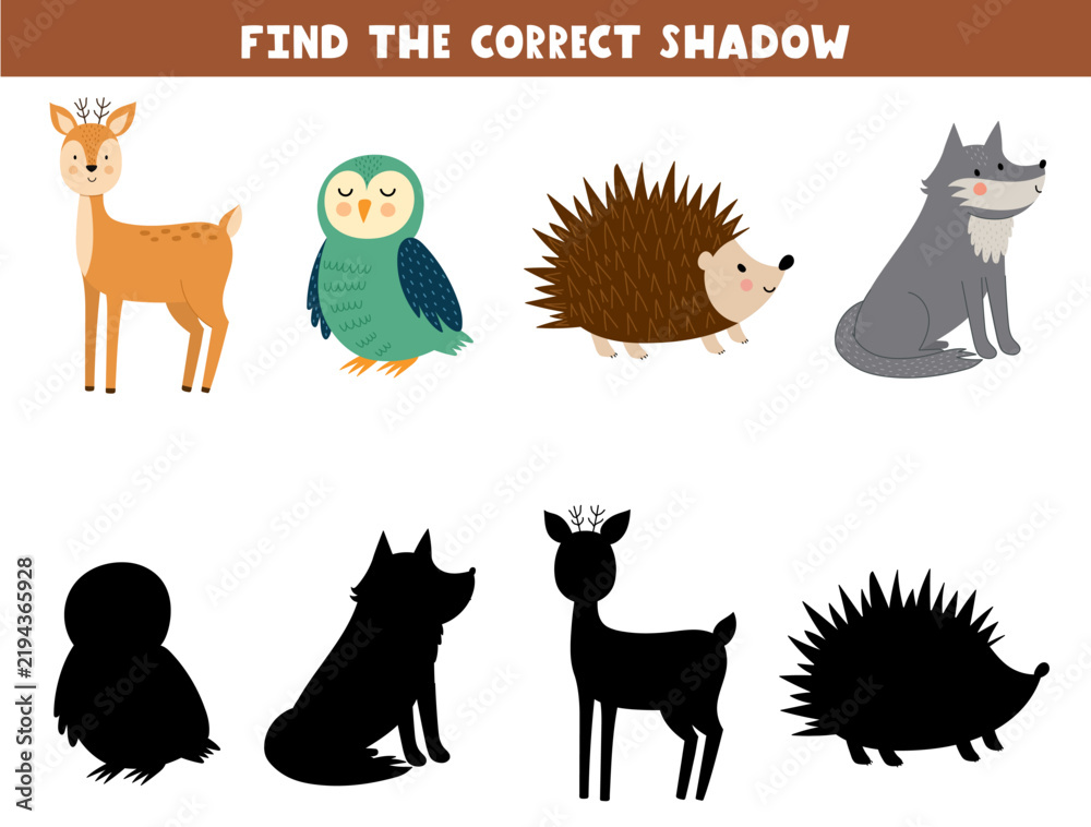 Fototapeta premium Find the correct shadow game for kids. Match each cute forest animal to its silhouette printable activity page. Vector illustration