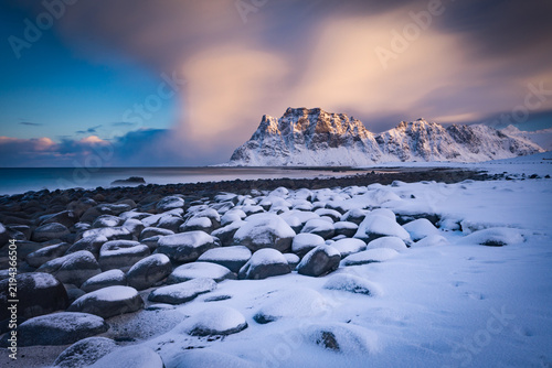 Naklejka winter landscape with snow