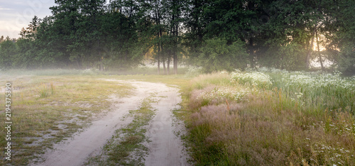 Morning fog shrouds a winding dirt path through green meadow