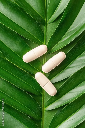 Three oval white pills and capsules rest on a vibrant green palm leaf surface, symbolizing natural health and wellness.