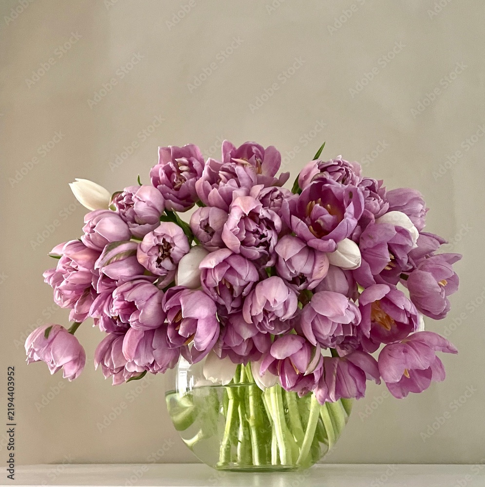 Fototapeta premium Bouquet of purple double tulips in a round glass vase on a minimal background