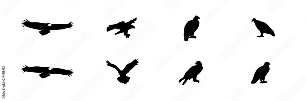 Fototapeta premium Raptor Birds Silhouette Icons Set, Diverse Poses and Wing Positions. Vector Illustration, Wildlife Design, Animal Symbol