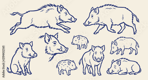 Fotografie Wild boar and piglets line art illustration collection with various animal poses