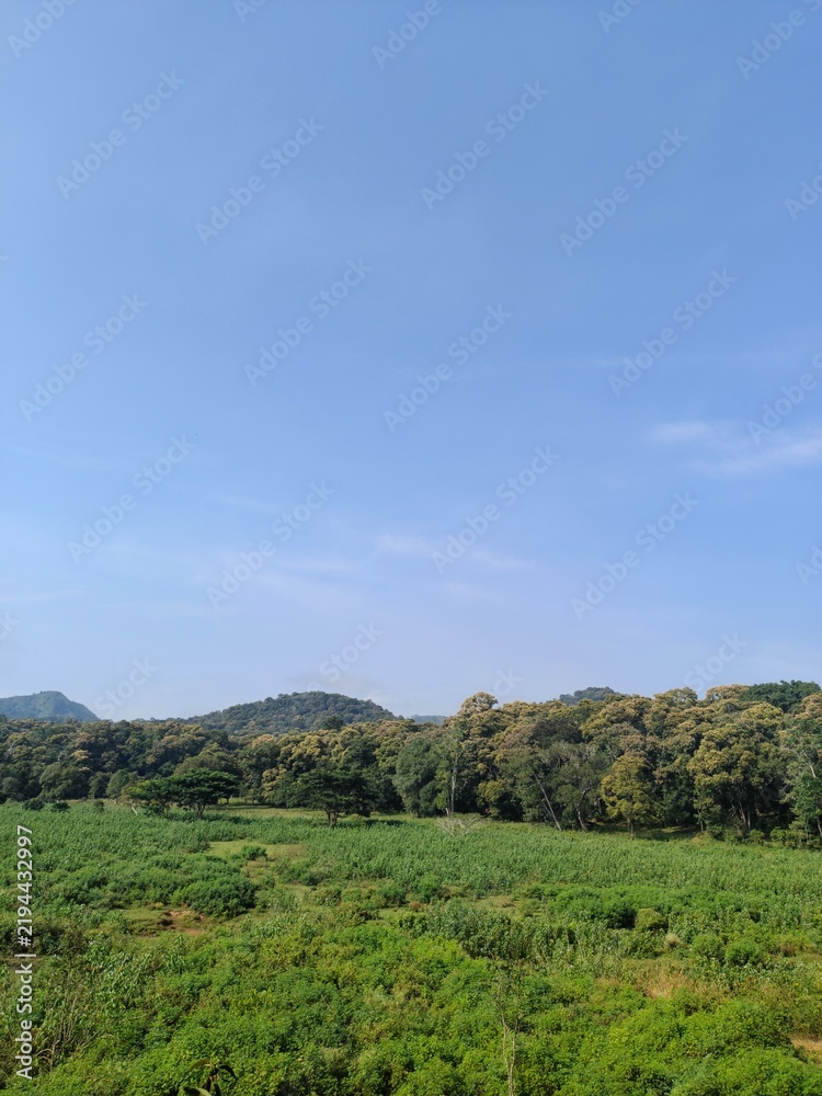 Obraz premium Majestic Greenery and Serene Landscapes of South India.