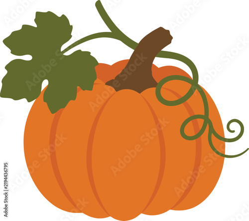 Foto Autumn pumpkin vector illustration with green leaf and vine, orange fall squash