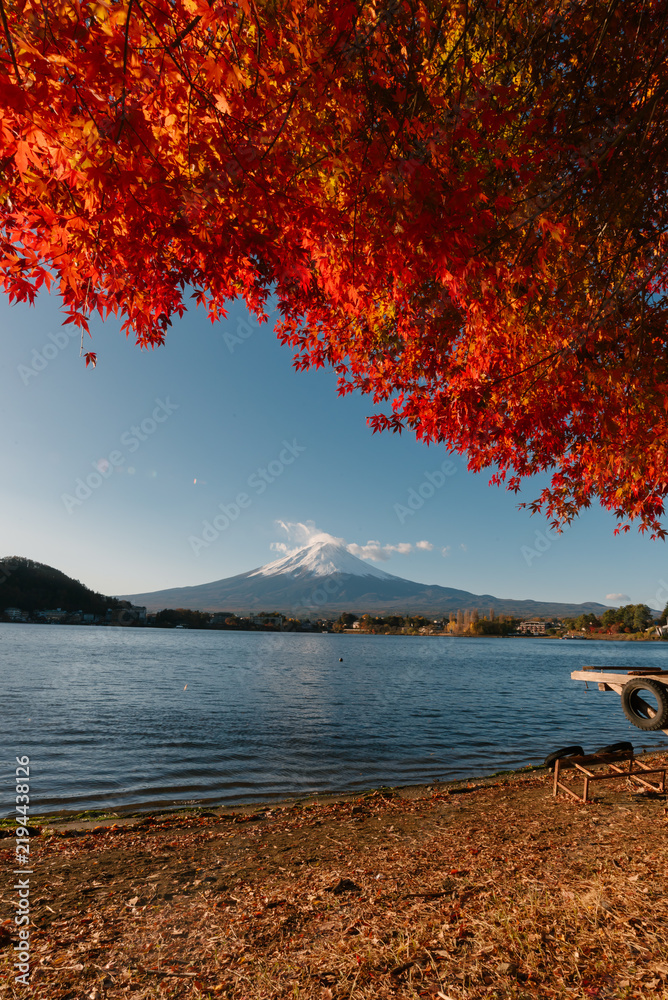Fototapeta premium Peaceful kawaguchiko lake landscape with vibrant autumn foliage in japan providing feeling of awe and serene autumn travel inspiration