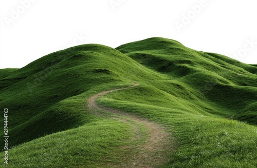Lush green hills with winding path