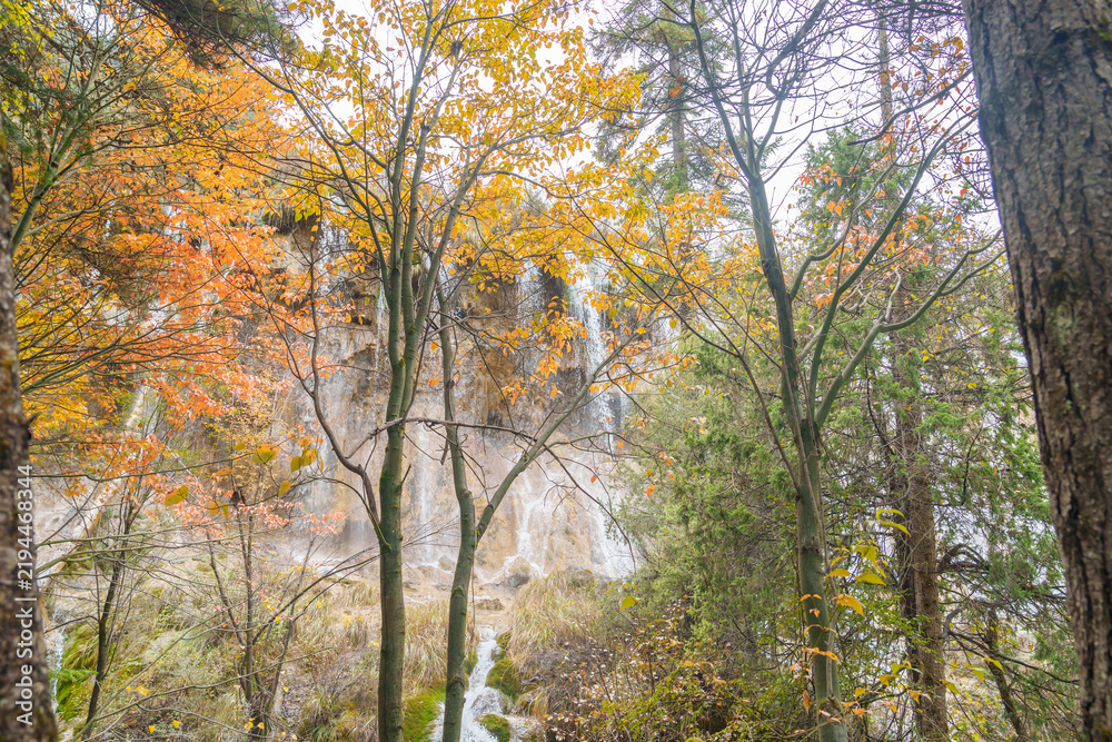 Fototapeta premium Scenery Jiuzhaigou national park in Sichuan, China. Beautiful of Nuorilang Waterfall in Autumn season. Famous Landmark and Vacation near Chengdu, China. Asia travel concept