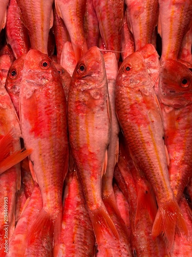 Fotografie Fresh Red Mullet Fish Displayed at Traditional Isla Cristina Seafood Market in H