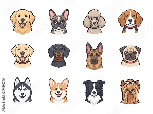 Collection of dog breed portraits headshots cartoon style