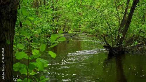 A forest river with fresh water flowing through a mountainous area. The slow flow of river water in a shallow river and rich green vegetation. Forest landscape.