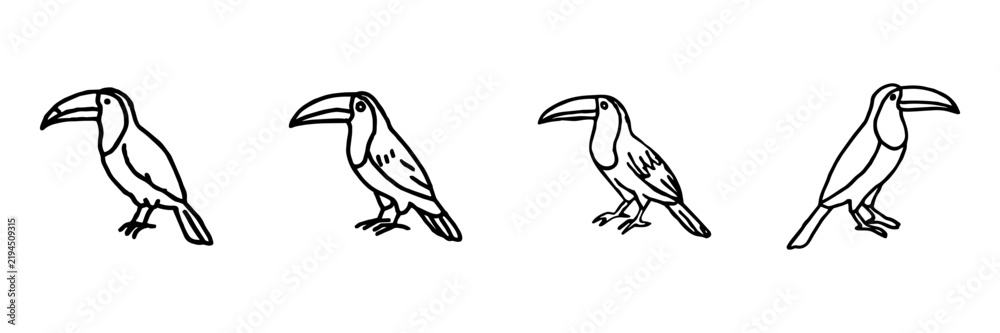 Obraz premium Toucan Bird Hand Drawn Doodle Icon Set. Tropical Bird Species, Wildlife, Nature And Zoo Sketch Symbol Collection. Animal. Isolated Vector Illustration