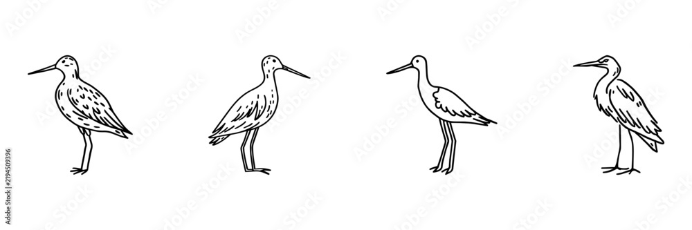 Obraz premium Birds Hand Drawn Doodle Icon Set. Heron, Stork, Crane And Wading Bird Sketch Symbol Collection. Wildlife And Nature. Isolated Vector Illustration
