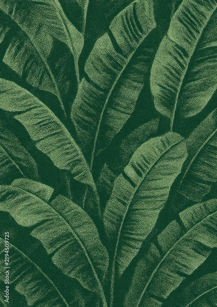 Obraz premium Lush tropical banana leaves illustration.