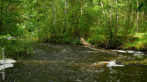 A forest river with fresh water flowing through a mountainous area. The color of the water is brown due to the saturation of aquatic vegetation. The flow of river water. View of the landscape.