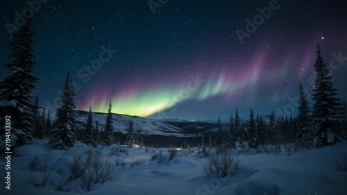Northern Lights dancing above a snowy forest landscape with cinematic motion during the night