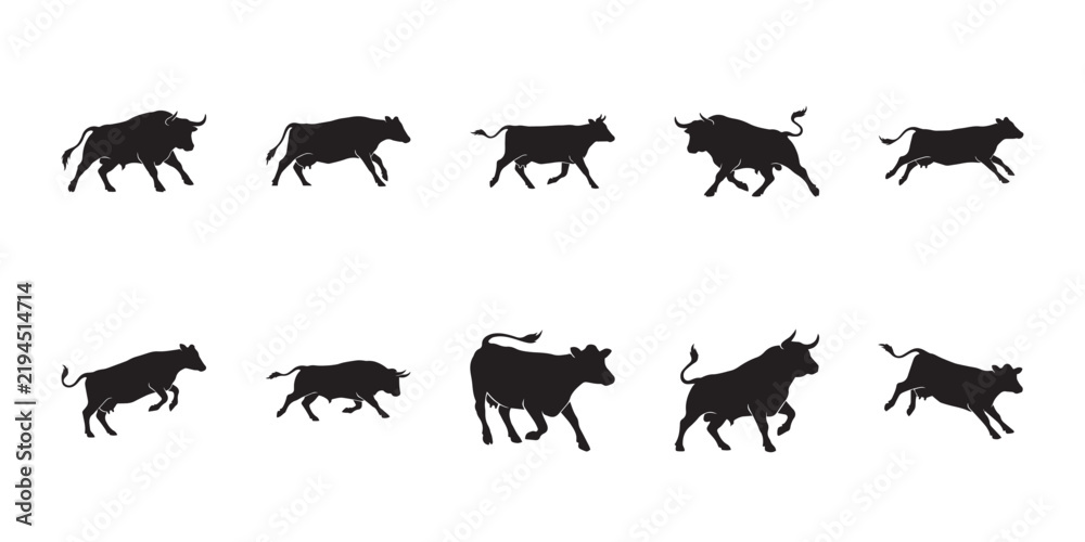 Fototapeta premium Brown swiss cattle walking vectors. Herd of standing and moving dairy cows or bulls in flat black style for farming background design.