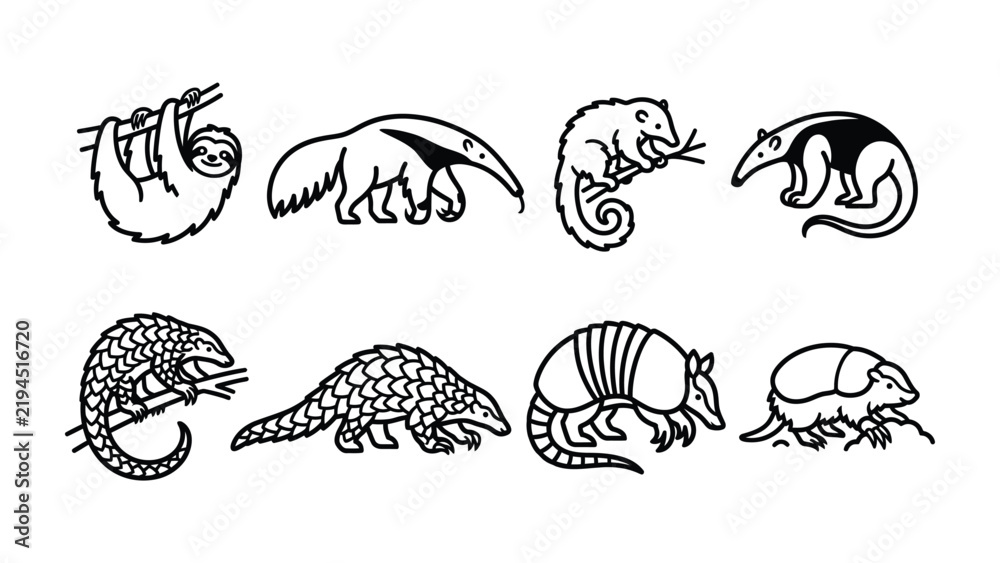 Fototapeta premium Diverse Animal Line Art Collection: A curated set of unique line art illustrations featuring a variety of unusual animals, including a sloth, anteater, chameleon, pangolin, and armadillo.