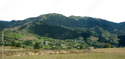Green Alpine Mountain Valley with Houses and Pine Forest Cutout isolated on transparent background. PNG file.