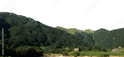 Green Alpine Mountain Valley with Houses and Pine Forest Cutout isolated on transparent background. PNG file.