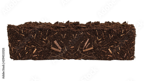 Canvastavla Rectangular compressed peat moss block with visible organic fibers, isolated on
