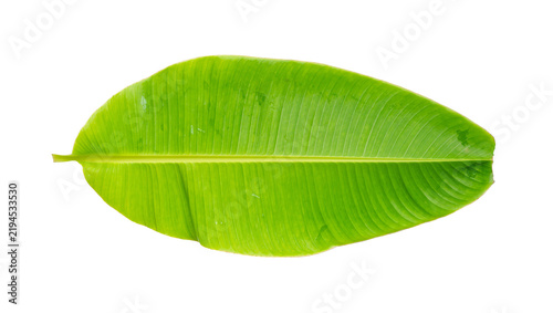 Foto Vibrant green banana leaf with prominent veins, isolated on transparent backgrou