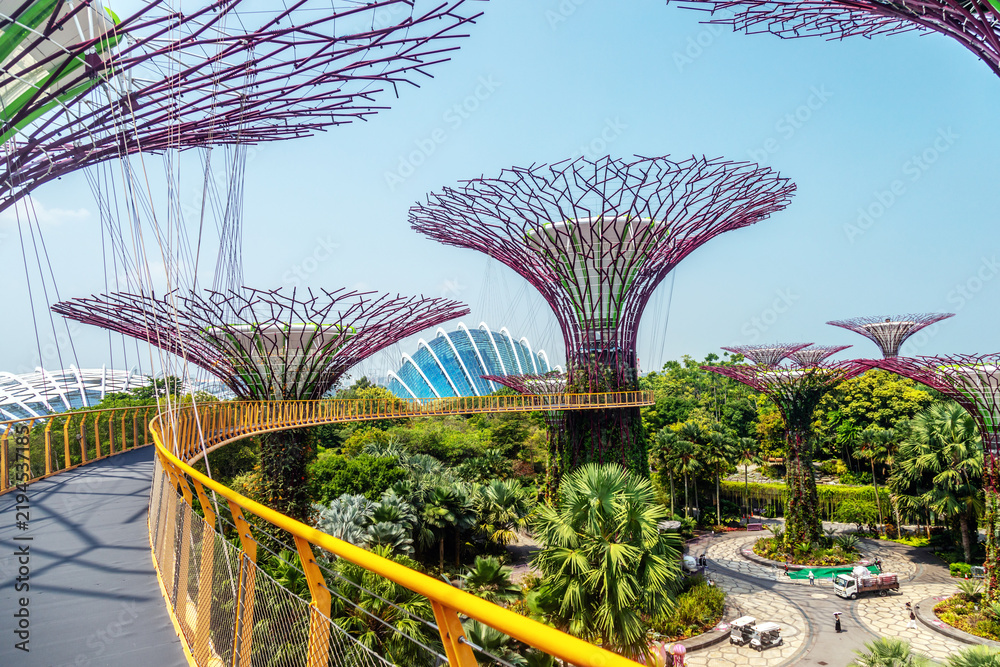 Obraz premium Supertree Grove and kyway at Gardens by the Bay rising above lush tropical greenery in Singapore