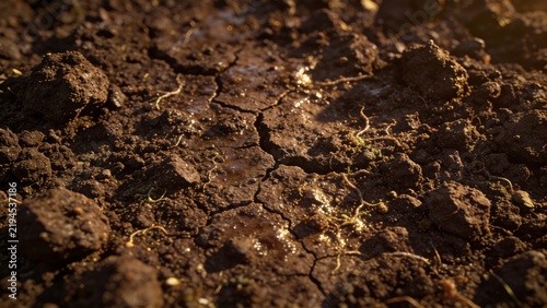 Dry cracked soil texture with water drops and sunlight