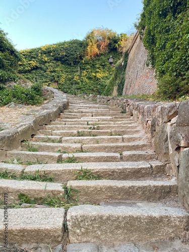 Bild auf Leinwand Long stone staircase ascends a steep hillside covered in lush green foliage