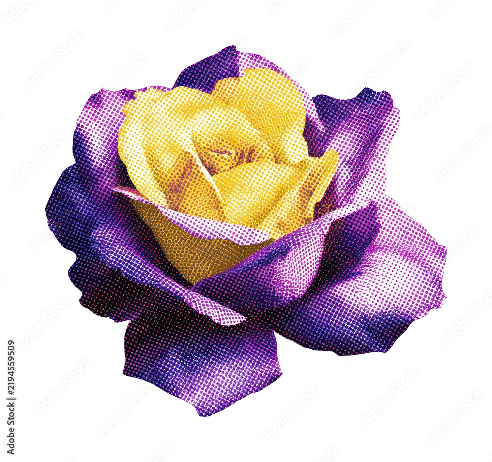 Obraz premium PNG Vibrant halftone rose illustration.
