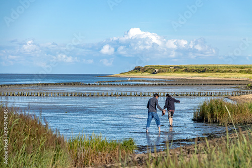 Blick auf das Wattenmeer bei Nebel, Insel Amrum