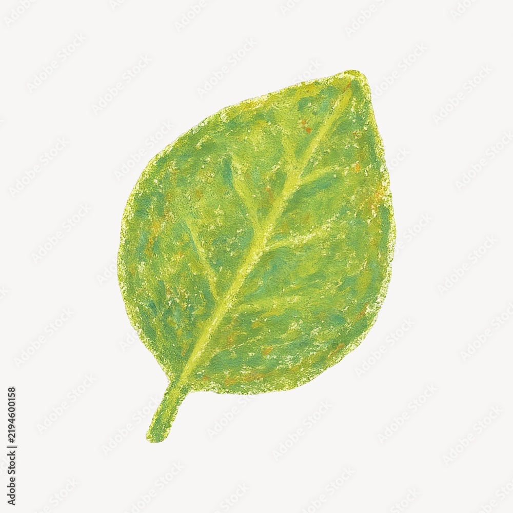 Obraz premium Textured green leaf illustration.