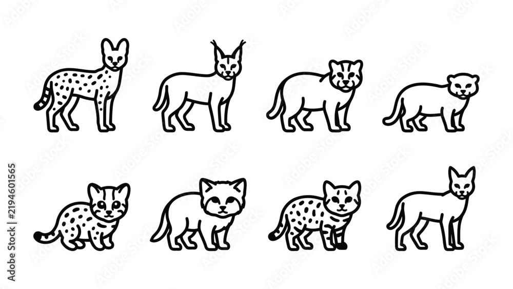 Fototapeta premium Feline Friends Collection: A charming set of eight line art illustrations featuring various cat breeds, from wild lynx to domestic kittens, showcasing diverse feline forms in a playful arrangement.