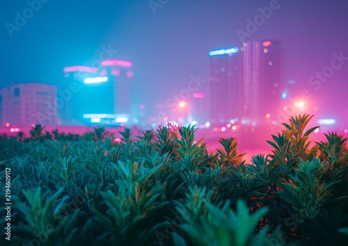 Vibrant night cityscape with neon pink and blue illumination and blurred foreground foliage for urban atmospheric design