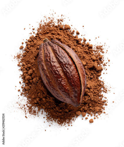 Cocoa beans in a pod on cocoa powder close-up on a white background. Generative AI