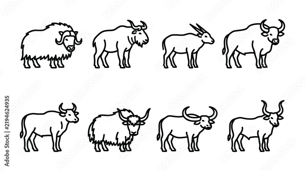 Fototapeta premium Bovine Breeds Collection: A line-up of various bovine species illustrated in a simple, clean line art style, showcasing their unique forms and horns.