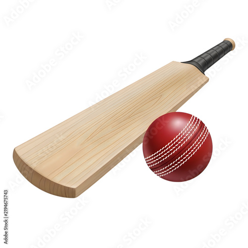 Wooden cricket bat and red leather ball for professional sport