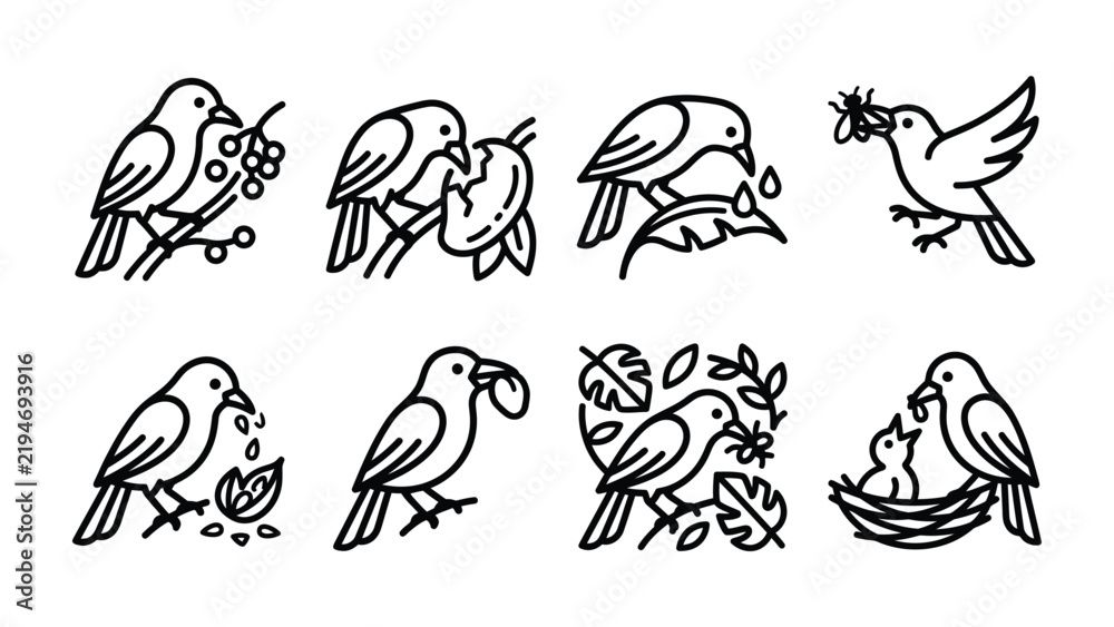 Fototapeta premium Bird Icons Set: A collection of simple line art icons depicting various birds engaged in daily activities like foraging, feeding, and nesting. Perfect for illustrating nature, wildlife.