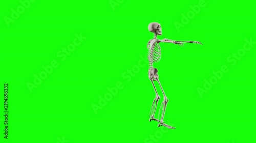 Funny dancing skeleton character animation on Green background