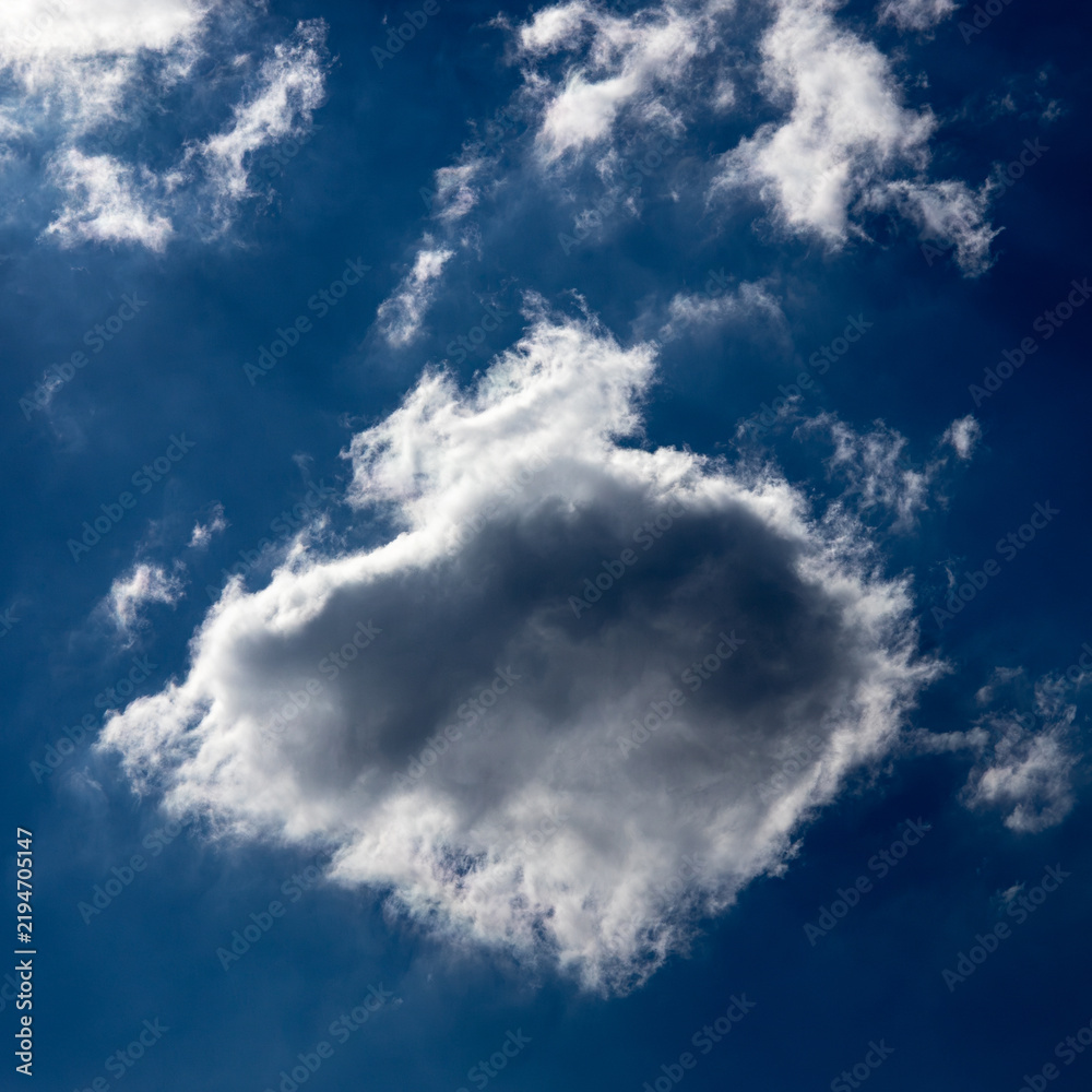 Fototapeta premium Large cloud floating in a bright blue sky