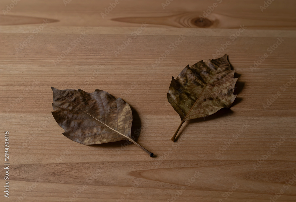 Obraz premium Autumn season and seasonal change, two dry brown leaves on a wooden table nature transition and the passage of time in a minimalist style