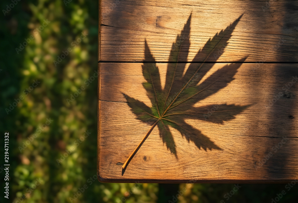 Obraz premium Cannabis legalization and medical marijuana concept, hemp leaf shadow cast on rustic wooden table in garden with natural sunlight and organic texture