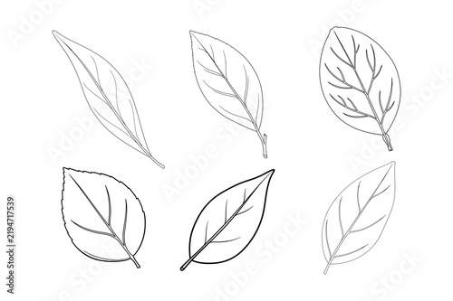 Set of simple leaf line art vector illustration, outline botanical elements collection