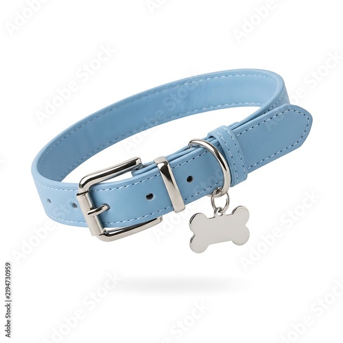 Light Blue Leather Dog Collar with a Shiny Metal Bone Shaped Name Tag Accessory