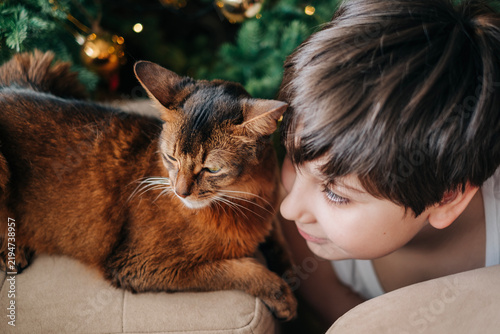 Kid boy teanager 12-years old with his pet red fluffy cat nearby decorated christmas tree closeup portrait somali breed cats
on the xmas hollidays at cozy home indoors lifestyle headshot